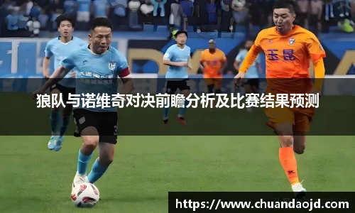狼队与诺维奇对决前瞻分析及比赛结果预测